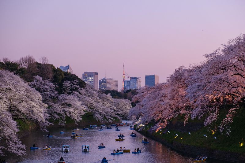 โตเกียว ญี่ปุ่น | สภาพอากาศ อุณหภูมิและฤดูในแต่ละเดือน