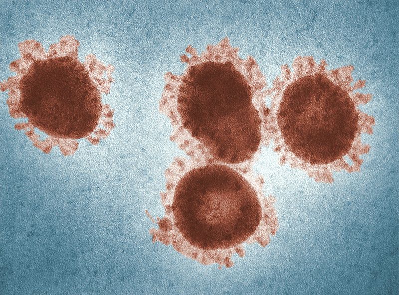 Corona Virus - โคโรน่าไวรัส 2019