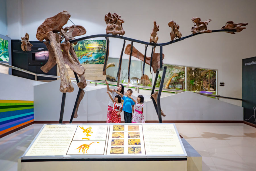 พิพิธภัณฑ์ไดโนเสาร์ภูเวียง02