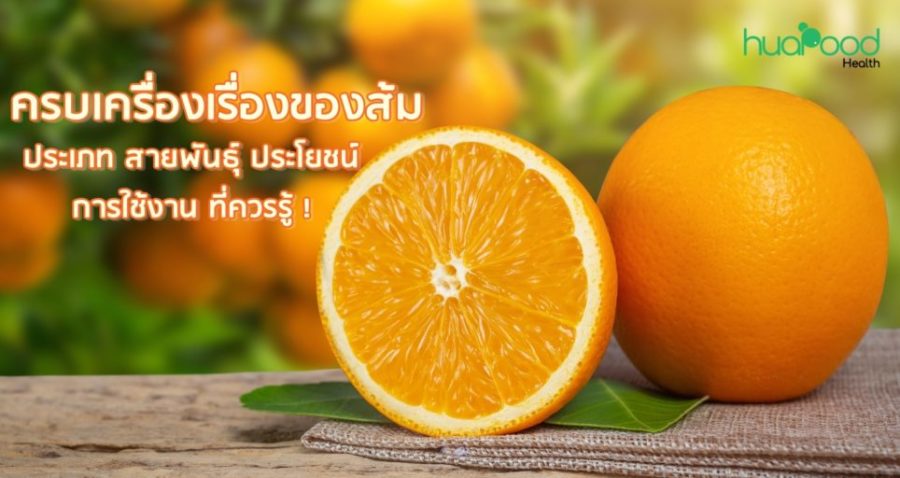 ส้ม (Orange) ประเภท สายพันธุ์ ประโยชน์ การใช้งานที่ควรรู้