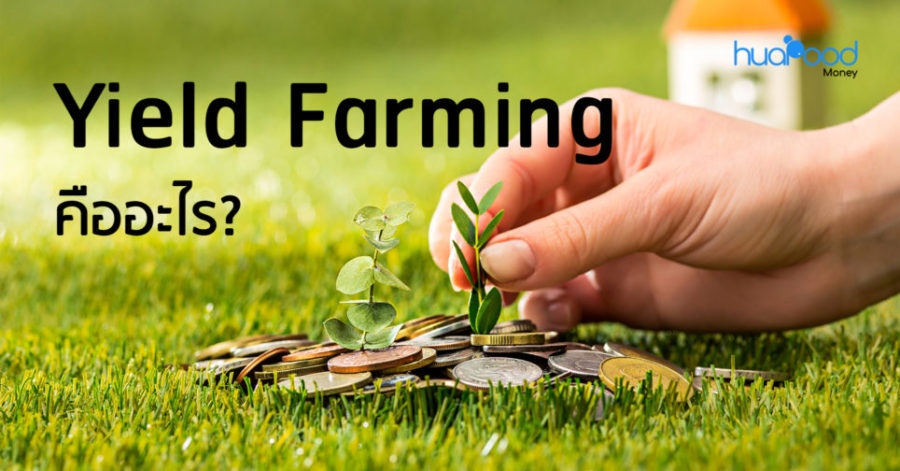 Yield Farming คืออะไร ฟาร์มที่ไหนได้บ้าง ?