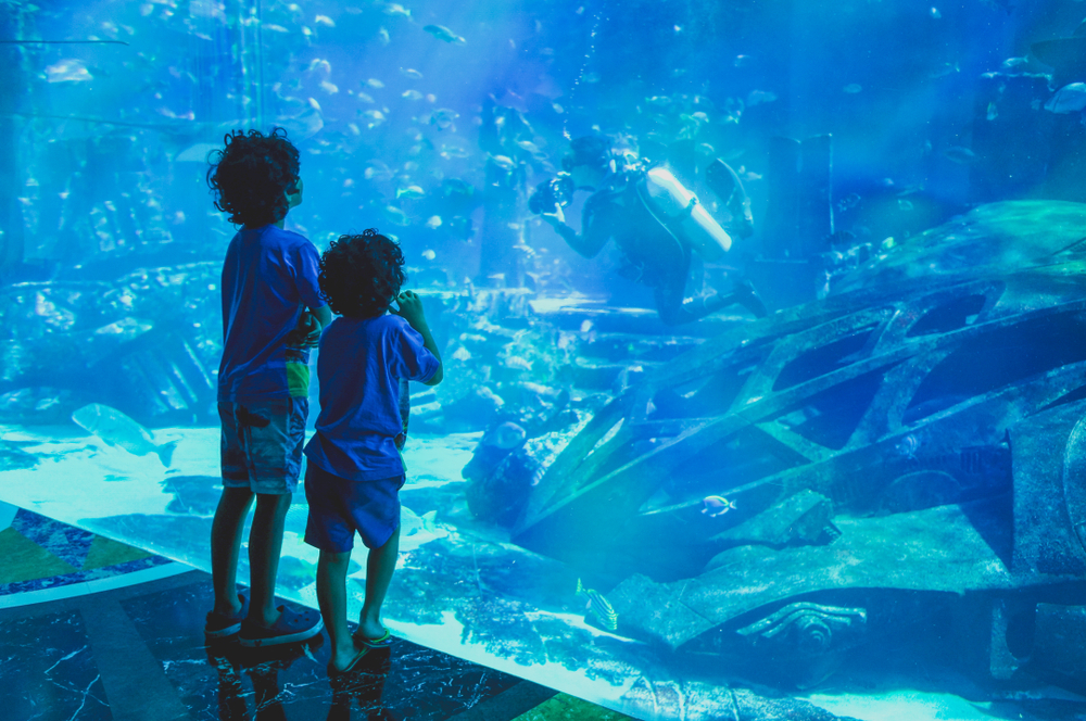 Silhouettes,Kids,In,Big,Aquarium.,Dubai.